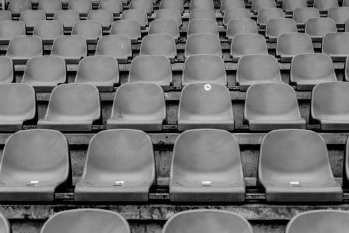 row seats  chairs  stadium  rows  event  black and white
