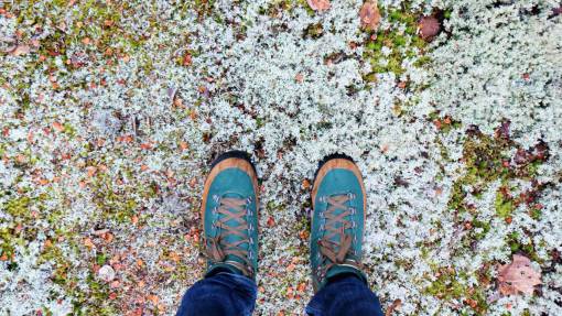 ground shoes  sneakers  fashion  ground  snow  nature
