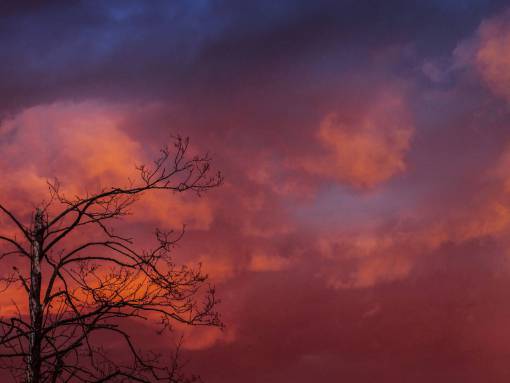 falla cielo naranja atardecer anochecer árboles otoño otoño