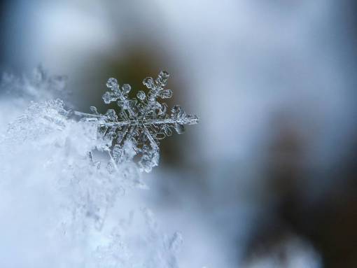 congelado copo de nieve hielo congelado frío invierno
