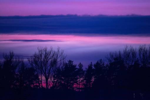 purple amanecer amanecer mañana paisaje naturaleza árboles cielo