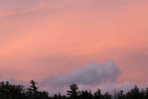 sunset  clouds  trees  nature  outdoors  dusk  sunlight
