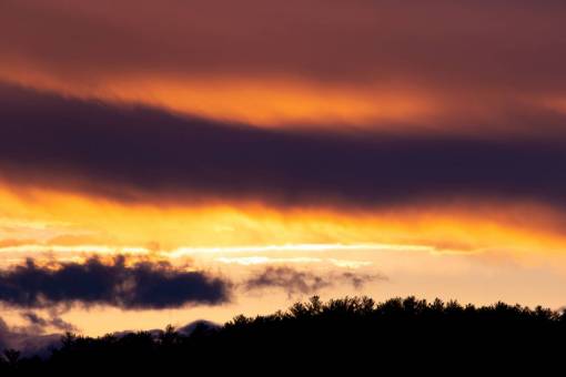 luz del sol atardecer nubes árboles silueta naturaleza aire libre anochecer