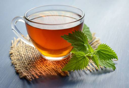 medicina té té de hierbas bebida de ortiga taza de hierbas calientes
