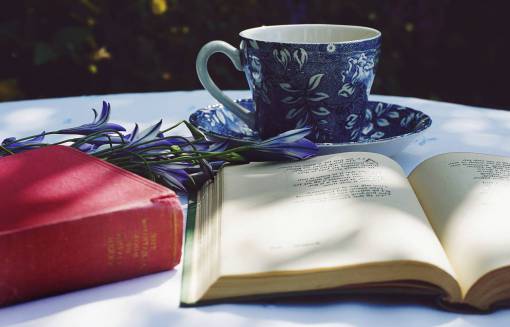 literature teacup  teacups  drinks  books  poetry  reading  literature