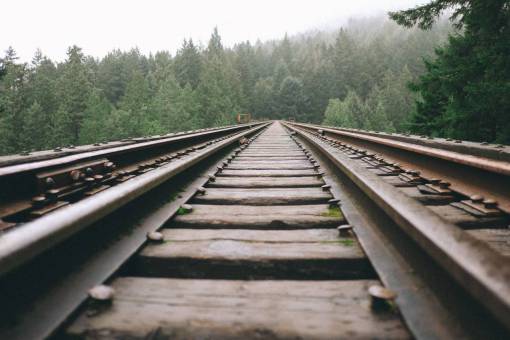 track train tracks  railroad  railway  transportation  trees  rural

