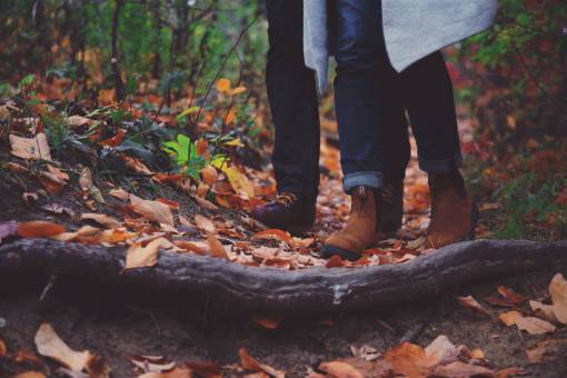 alpine trek  travel  adventure  mountaineer  mountain  leaves  autumn