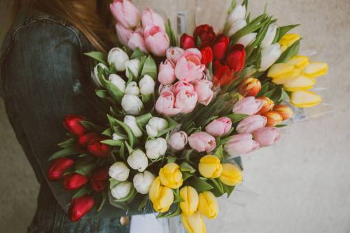 tulip tulips  flowers  bouquet  girl  woman  people  easter
