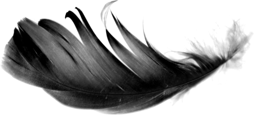  Black Feathers Overlay PNG