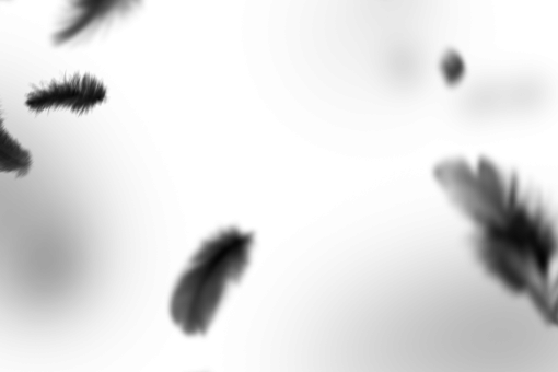 png  Black Feathers Overlay PNG