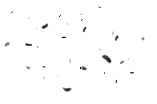 png  Black Feathers Overlay PNG