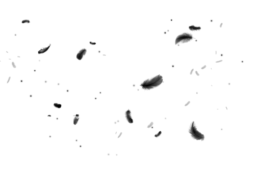png  Black Feathers Overlay PNG