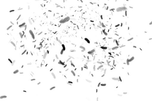 png  Black Feathers Overlay PNG