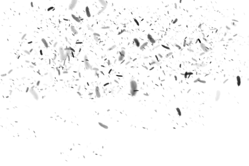 png  Black Feathers Overlay PNG