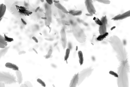 png  Black Feathers Overlay PNG