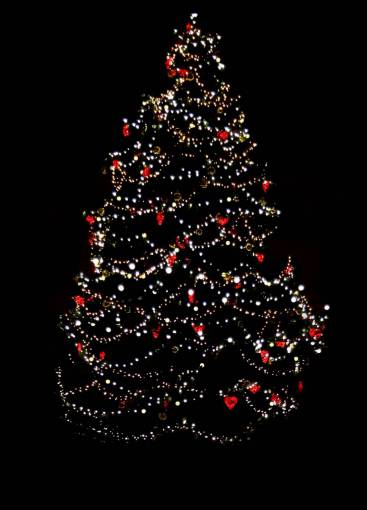 diciembre árbol de navidad, superposición, fondo negro
