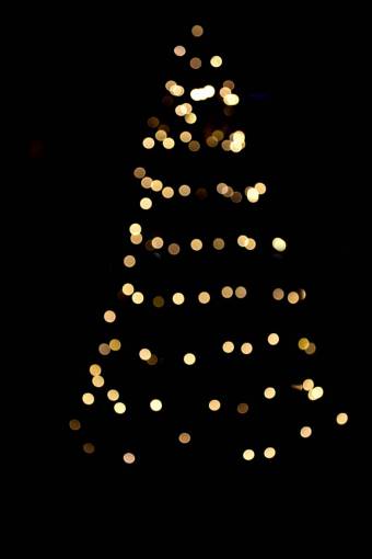 diciembre árbol de navidad, superposición, fondo negro
