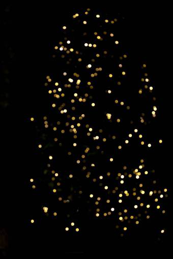 vacaciones árbol de navidad, superposición, fondo negro