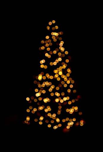 diciembre árbol de navidad, superposición, fondo negro