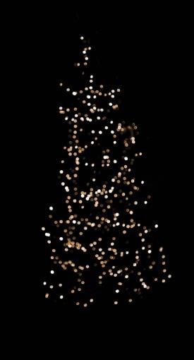 diciembre árbol de navidad, superposición, fondo negro