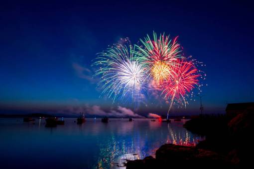 vector Coloridos fuegos artificiales explotan por la noche