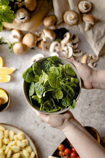 fronds Fresh green leafy salad