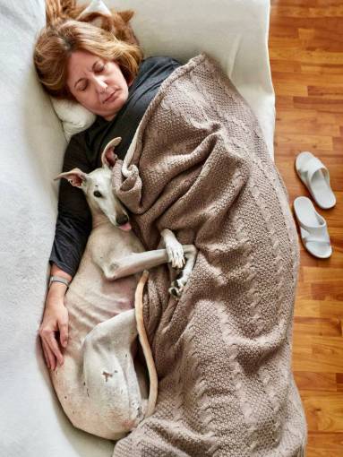 dog Portrait of a woman sleeping at bed