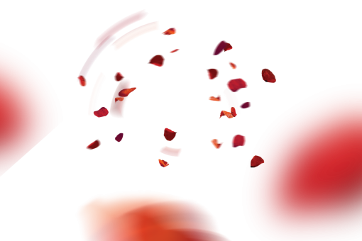 png  Wild poppies Overlay PNG