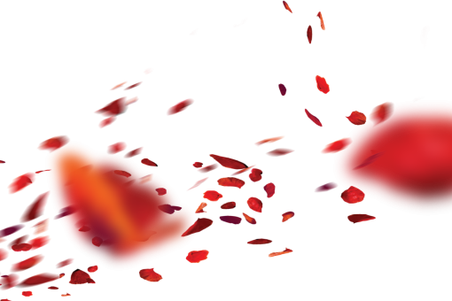 png  Wild poppies Overlay PNG