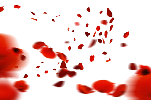 png  Wild poppies Overlay PNG