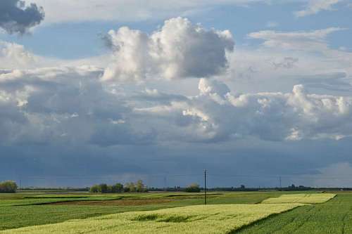 wheatfield agriculture  wheatfield  cloud  field 
