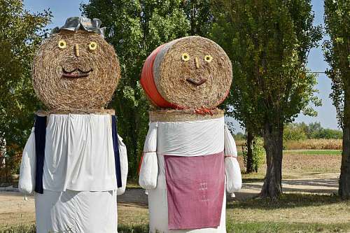 40s hay funny decoration field nature grass outdoors summer fun garden