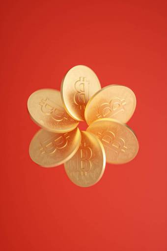 coin bitcoin;coin;red;Backgrounds wealth currency coin close-up gold backgrounds
