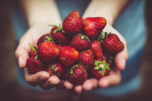 comidas mujer de frescura;sosteniendo;Fresas alimentación saludable comida fruta primer plano fresa