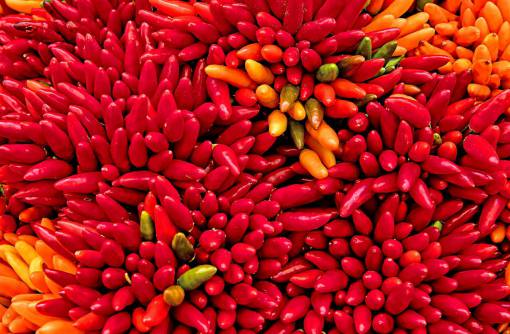 medicine red;peppers;background medicine close-up multi colored pill food backgrounds