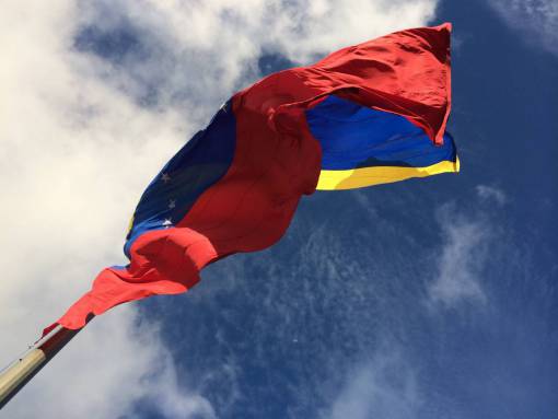waving-gesture Flag of Venezuela