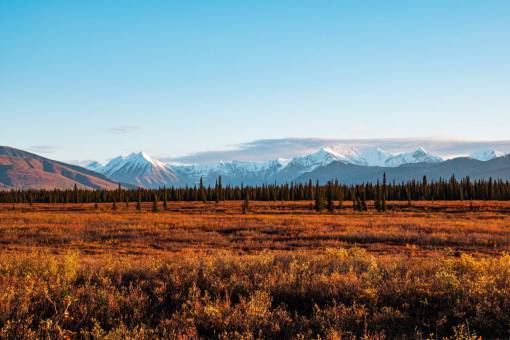 al aire libre Paisaje de naturaleza de hierba Alaska;paisaje;pradera;bosque de pinos belleza en la naturaleza al aire libre montaña