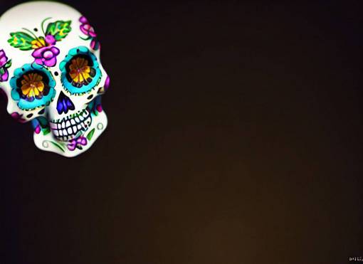 death backgrounds Day of the Dead;skull;background celebration halloween human skull death spooky