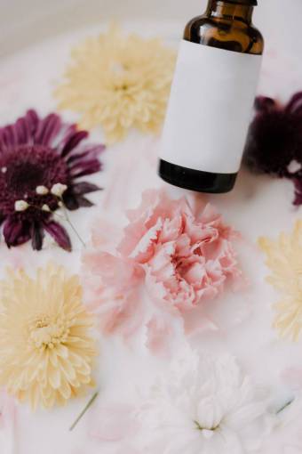 oil flower beauty cannabis oil plant close-up petal nature