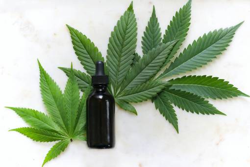 medicina hoja planta naturaleza herbario canabis medicina canabis aceite marijuana