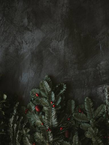 Fondo de Navidad para texto