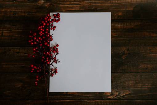 guia Fondo de Navidad para texto