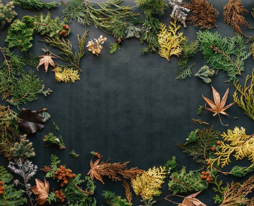 Christmas Background for text