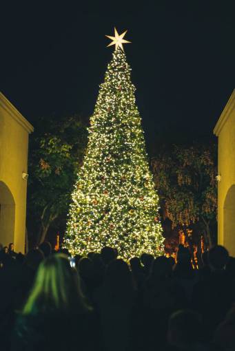 contenido árbol de Navidad