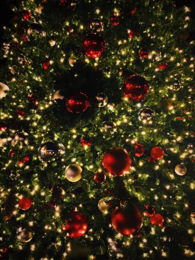 guia Árbol de navidad, cicatrizarse