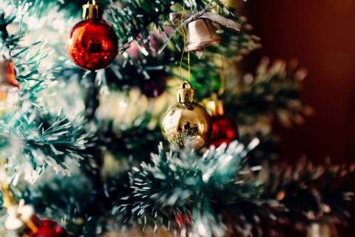 guy Christmas tree Close up