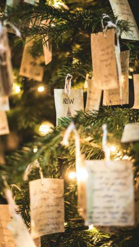 guy Christmas tree wishes
