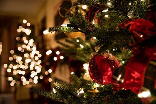 guy Christmas tree