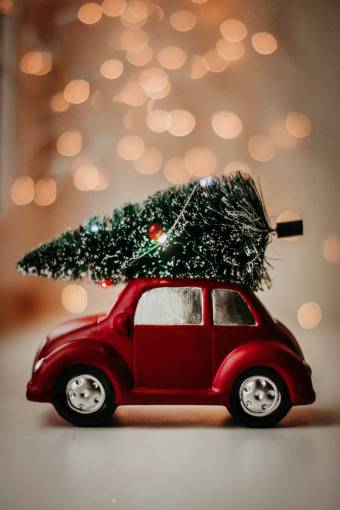 roof Toy car with christmas tree on top