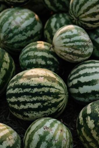full-length Watermelons